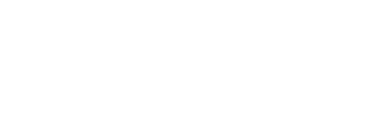 Aivy