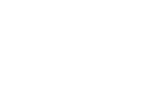 Bees & Bears